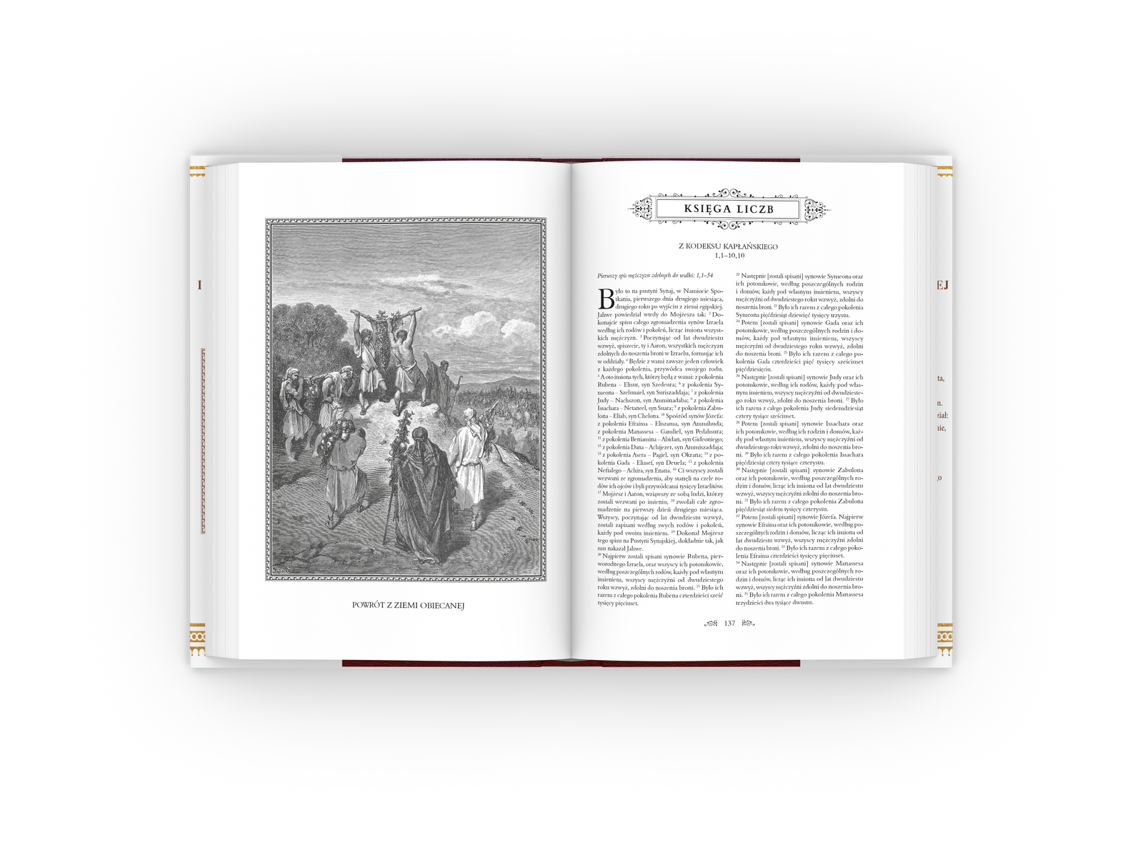 Biblia - rozkladowka